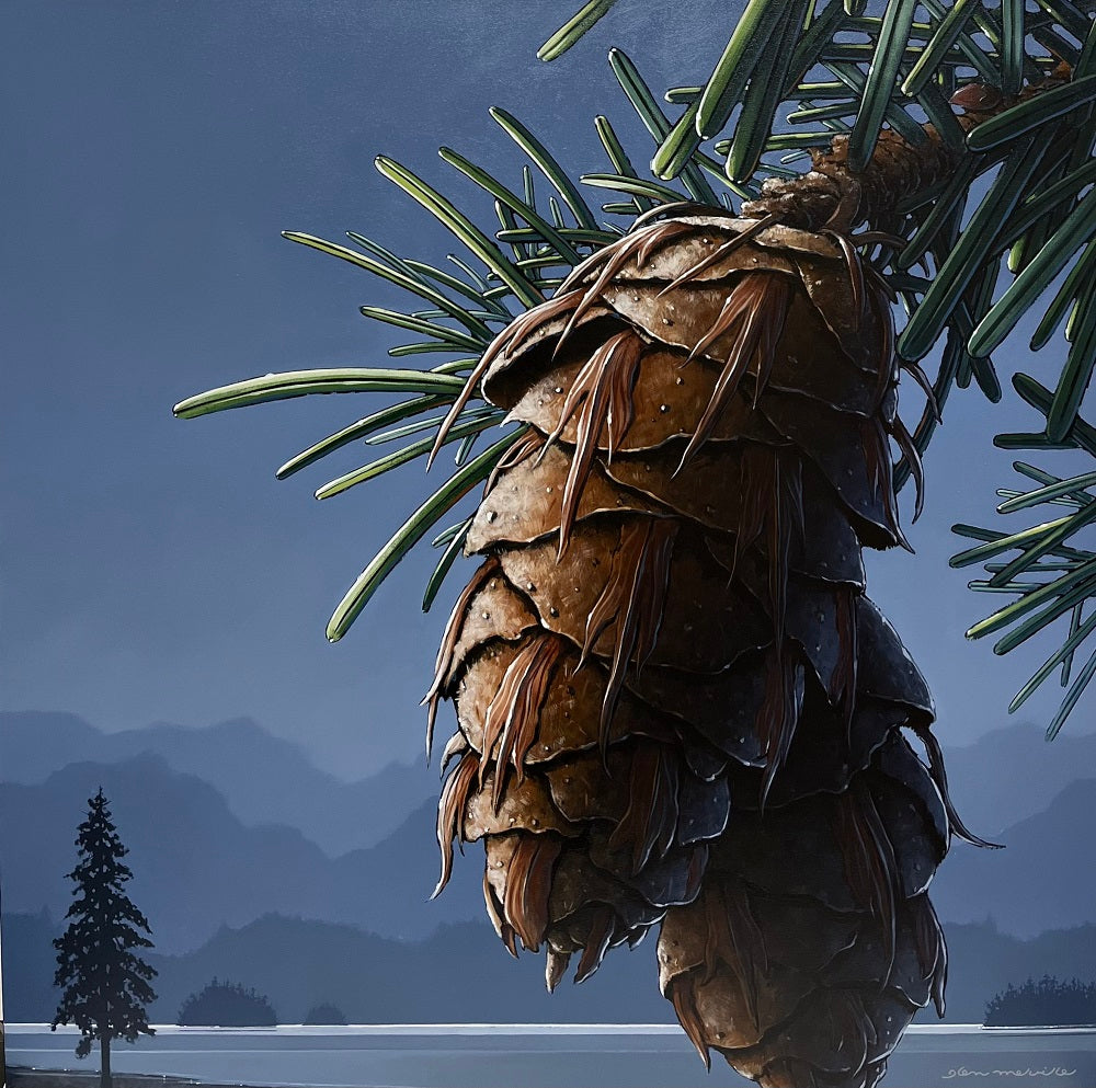 Glen Melville artwork 'Douglas Fir Cones' at White Rock Gallery