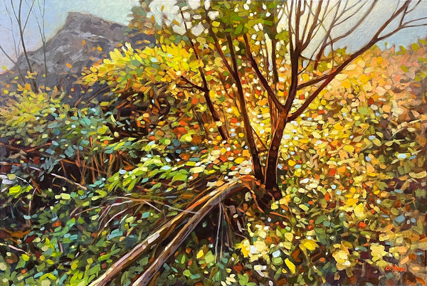 Graeme Shaw artwork 'Linley Valley Morning' at White Rock Gallery