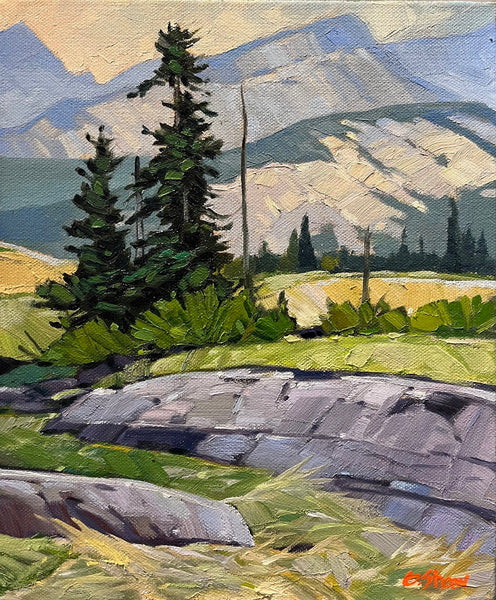 Graeme Shaw artwork 'Rocky Mountain Meadow' at White Rock Gallery