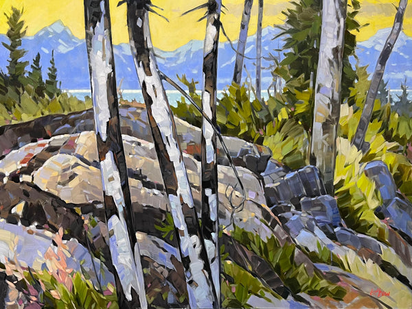 Graeme Shaw artwork 'Graeme Shaw - Kluane Overlook' at White Rock Gallery