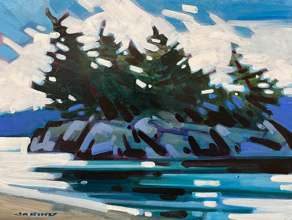 Cameron Bird artwork 'Summer Sky - Tofino' at White Rock Gallery