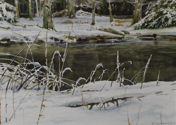 Renato Muccillo artwork 'Frozen Grasses' at White Rock Gallery